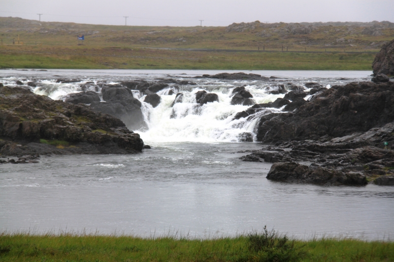 IJsland (436)