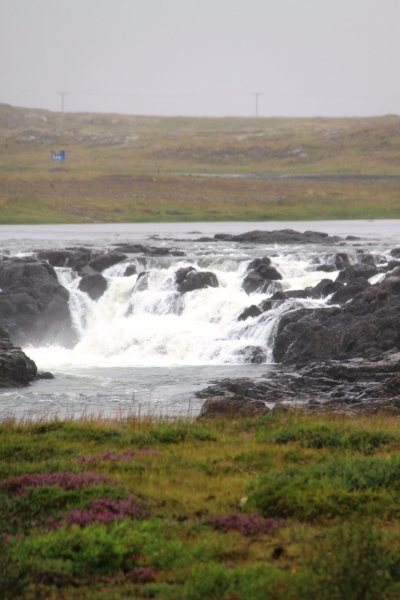 IJsland (438)