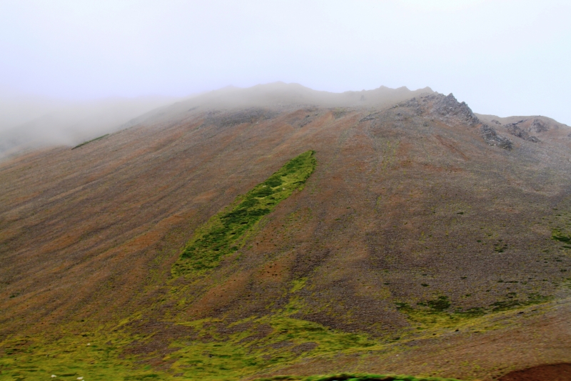 IJsland (463)