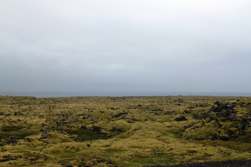 IJsland (478)