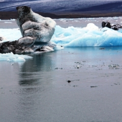 IJsland (10)