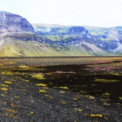 IJsland (340)