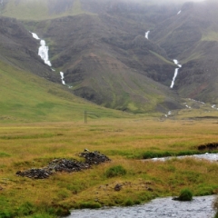 IJsland (445)