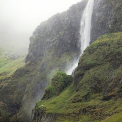 IJsland (450)