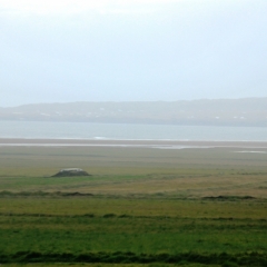 IJsland (469)