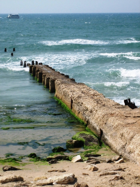 Israel (31)