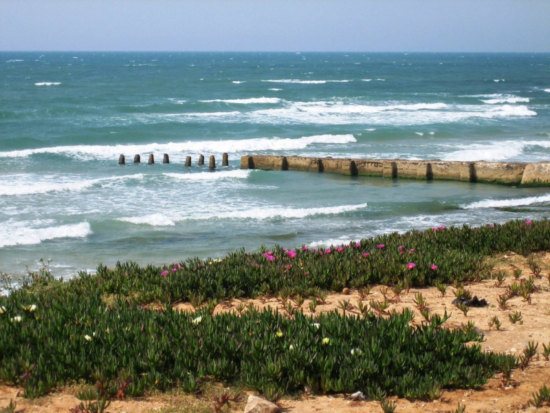 Israel (32)