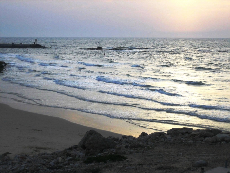 Israel (35)