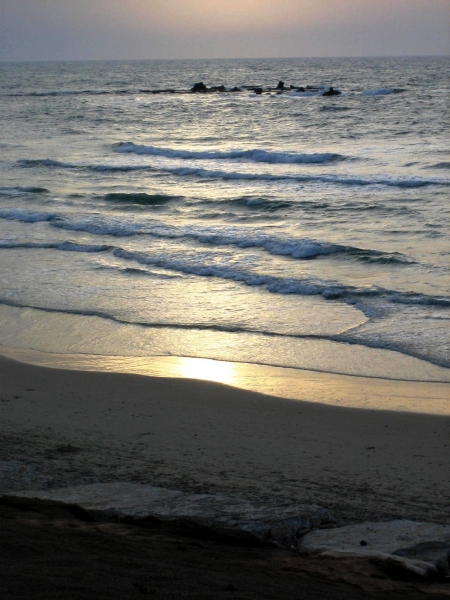 Israel (36)