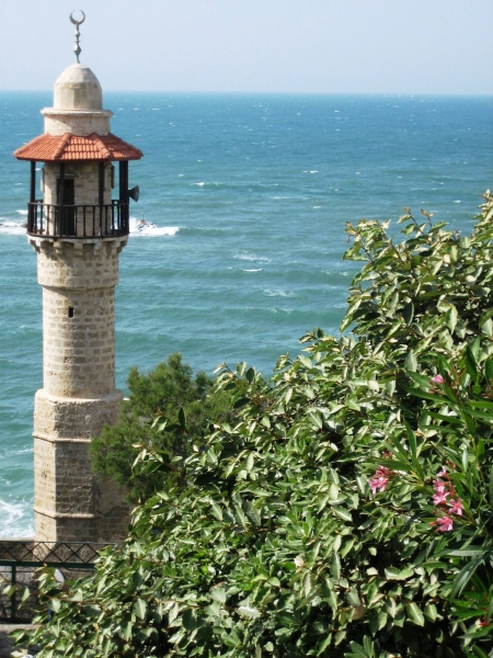 Israel (46)