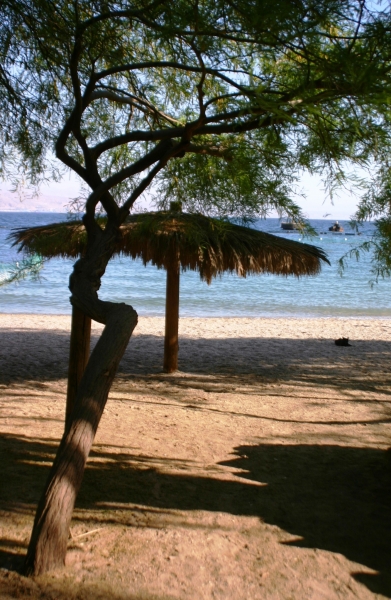 Israel (85)