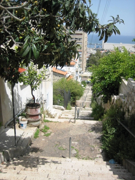 Israel (92)