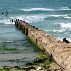 Israel (31)