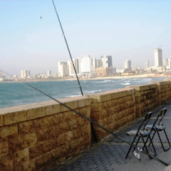 Israel (33)