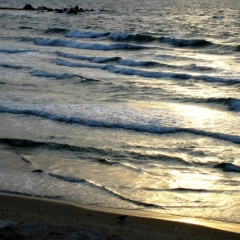 Israel (37)