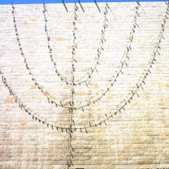 Israel (38)