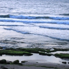 Israel (39)