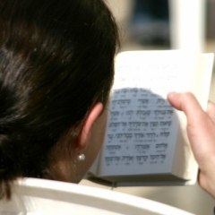 Israel (4)