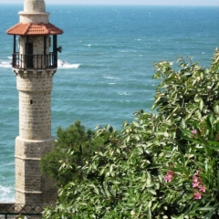 Israel (46)