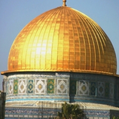 Israel (65)