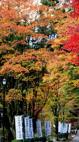 Japan (129)