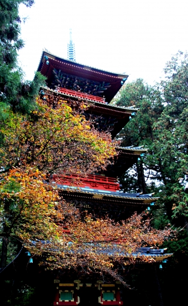 Japan (136)