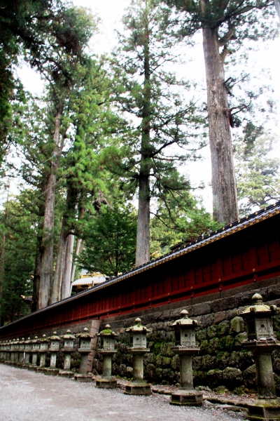 Japan (137)