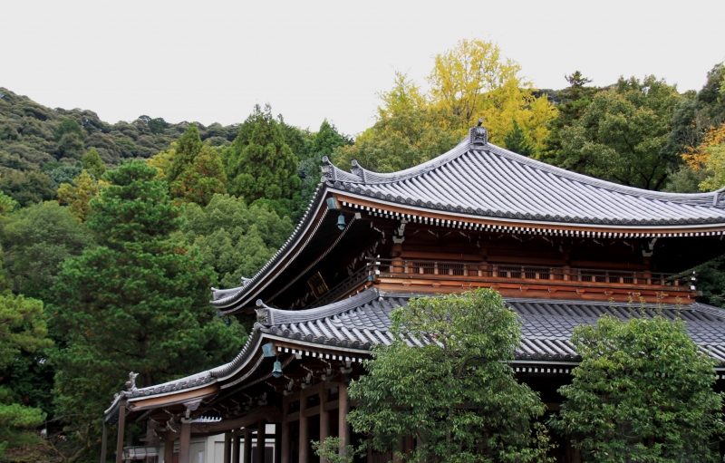 Japan (157)