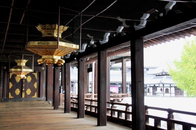 Japan (163)