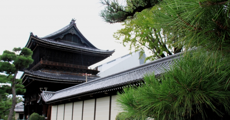 Japan (174)