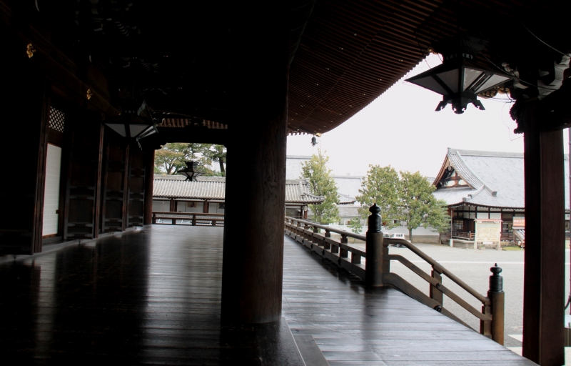 Japan (183)