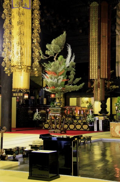Japan (217)