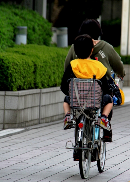 Japan (220)
