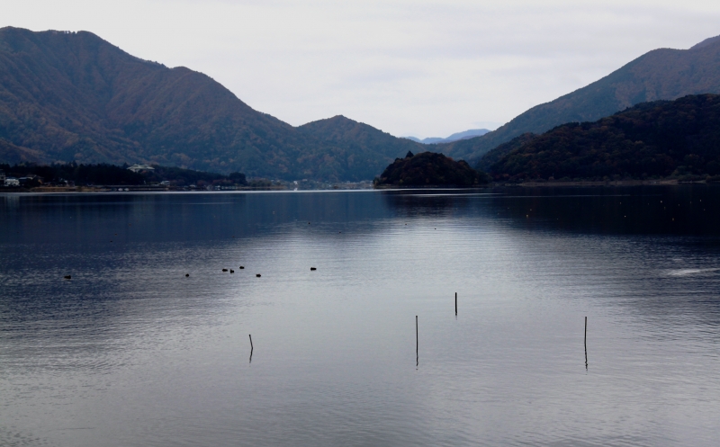 Japan (251)
