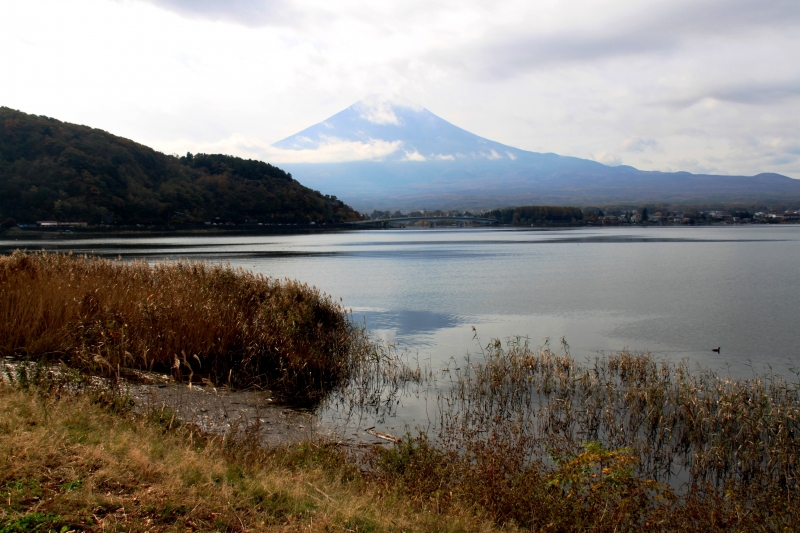 Japan (258)