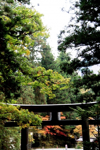 Japan (85)