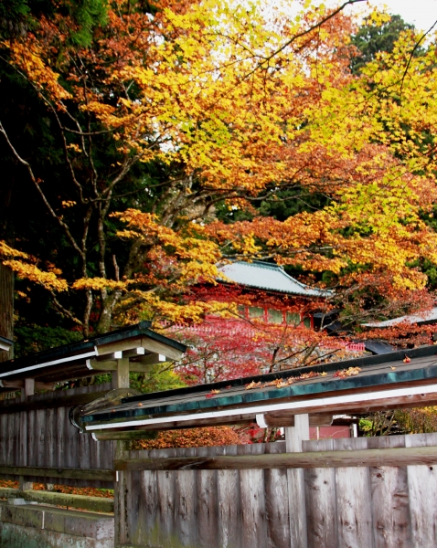 Japan (90)