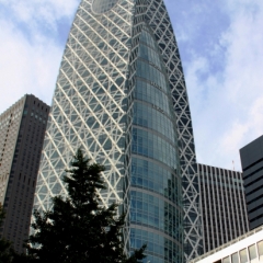Japan (31)