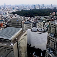 Japan (43)