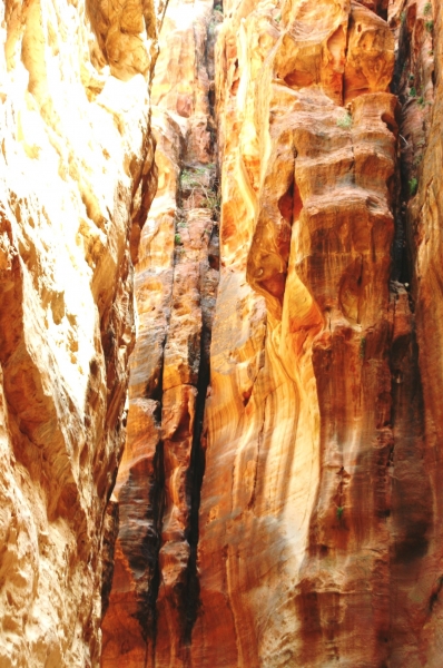 Jordanie (19)