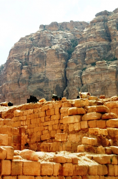 Jordanie (38)