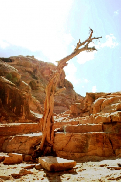 Jordanie (41)