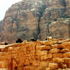 Jordanie (38)