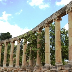 Jordanie (48)