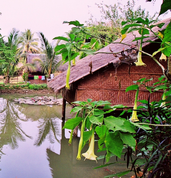 Laos (5)