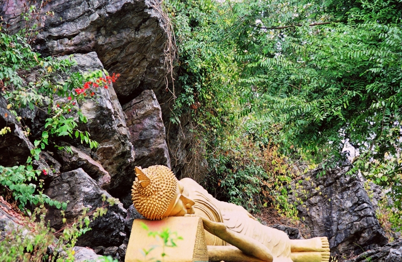 Laos (7)