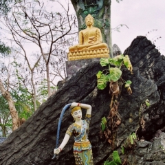 Laos (11)