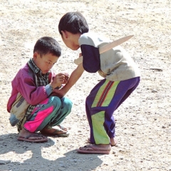 Laos (20)
