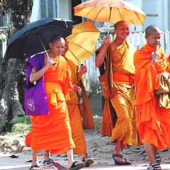 Laos (21)