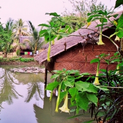 Laos (5)